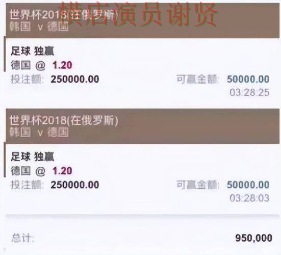 世界杯全球总决赛背景下的世界杯投注网站大全实测对比与平台排行